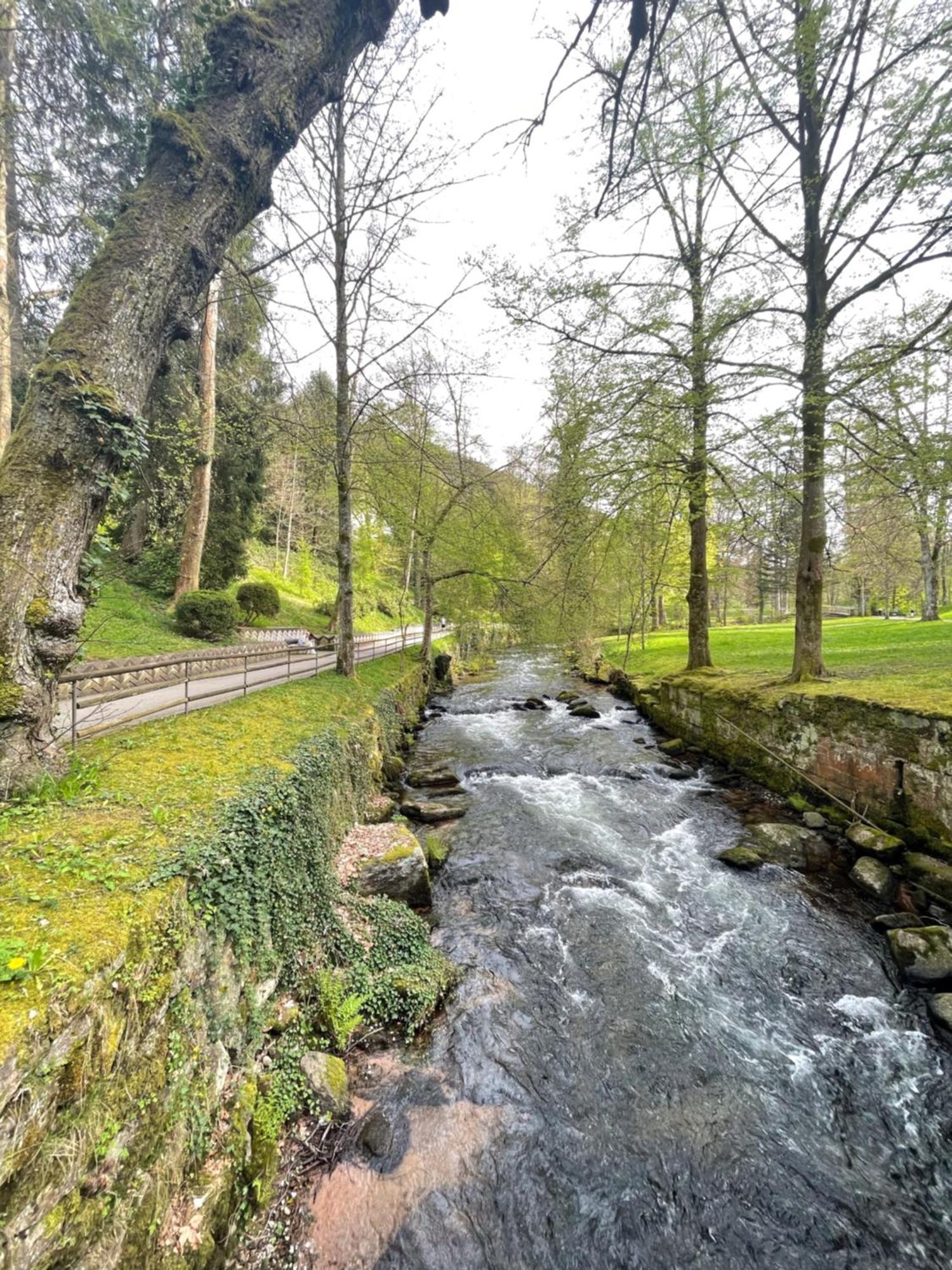 Bad Wildbad. 2.3 In Ruhige Lage.
